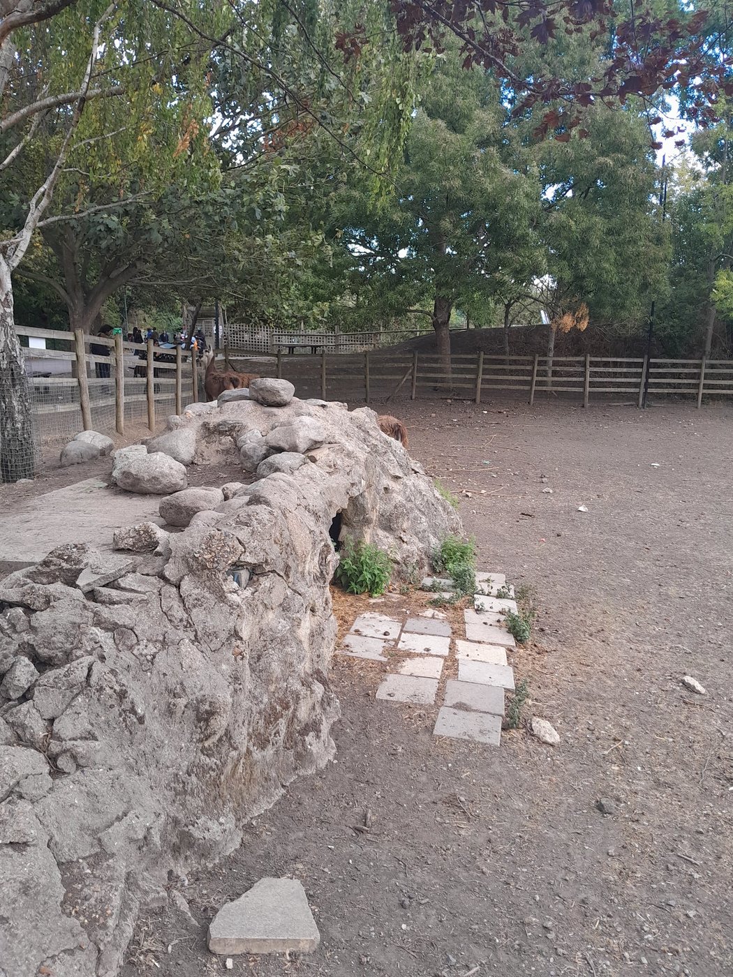 Stone animal enclosure at Mudchute Park and Farm with an alpaca in the background